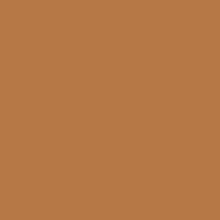 Complexion Stick - Image 20